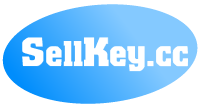 Buy Premium Key with Paypal Fast & Safe